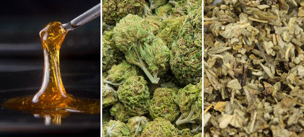 Co Znajduje się w Syntetycznej Marihuanie?, CarBOO